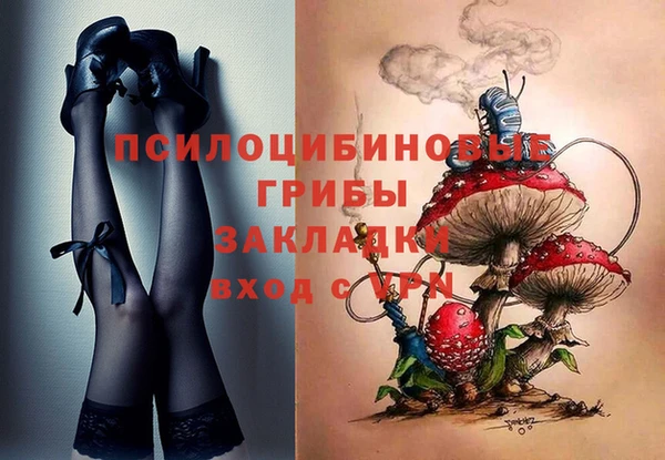 a pvp Аркадак