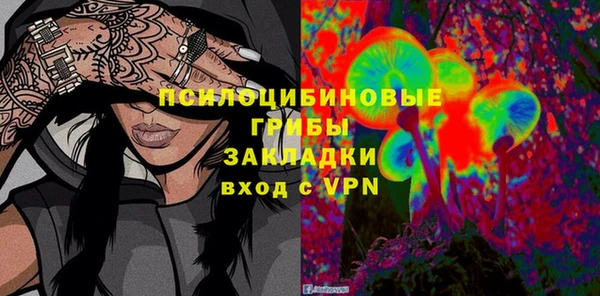 a pvp Аркадак