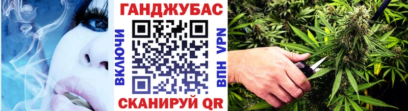 Каннабис семена  blacksprut ТОР  Судак 